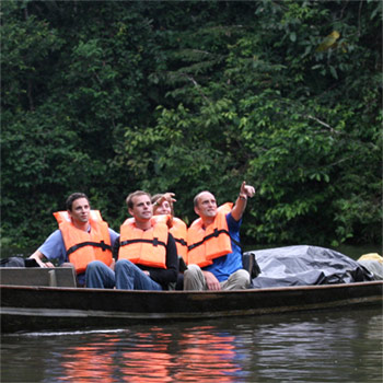 Amazon Jungle