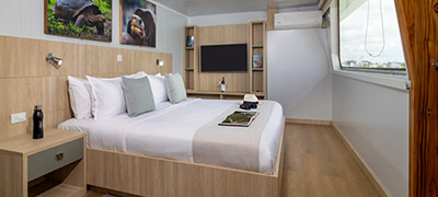 Cabin Amenities
