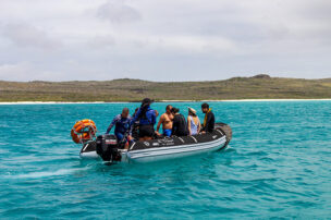 Cruise Experience