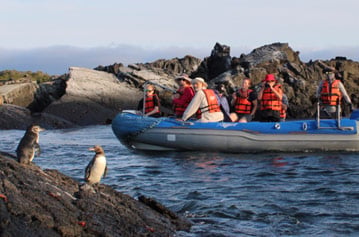 Cruise Itineraries