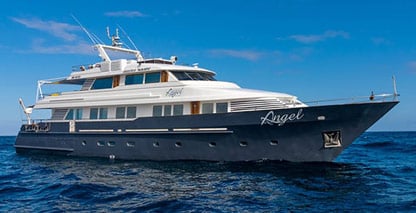 Galapagos Angel