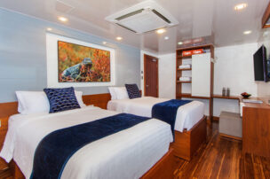 Infinity Twin Cabin