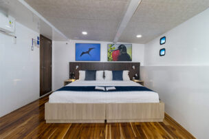 Lower Deck Stardard Cabin
