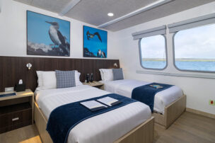 Main Deck Stardard Cabin