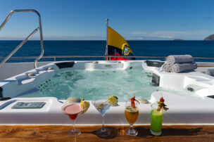 NP Jacuzzi